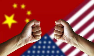 大V：欧洲趁中美关税战从美国获利