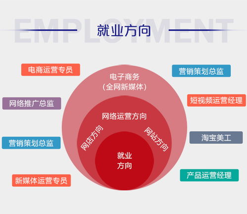 电子商务这个专业的介绍