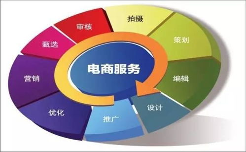 电子商务属于什么的专业