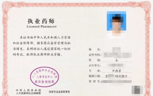 电子商务专业想考药师证